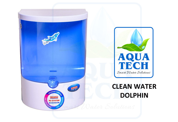 clean-water-dolphin